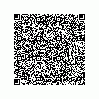 vCard 78793833295