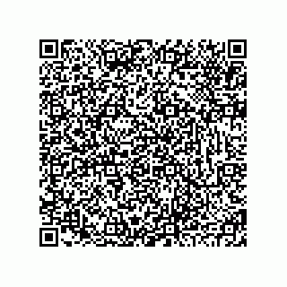 vCard 78793833309