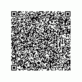 vCard 78793833331
