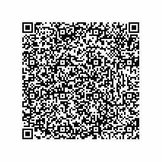 vCard 78793833343