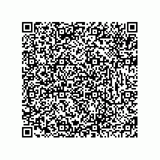 vCard 78793833371