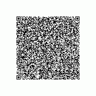 vCard 78793833384