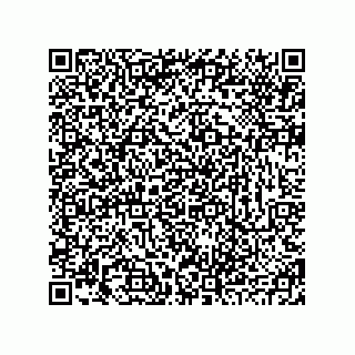 vCard 78793877731