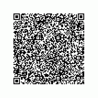 vCard 78795139681