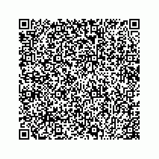 vCard 78795155409