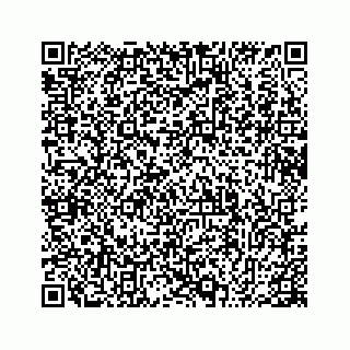 vCard 78795155503