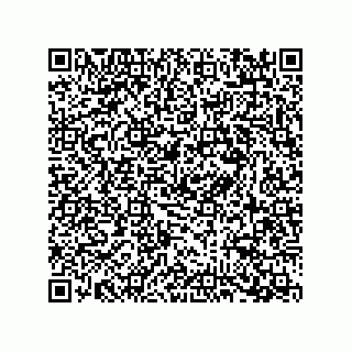 vCard 78796132539