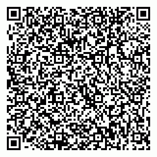 vCard 79001940807
