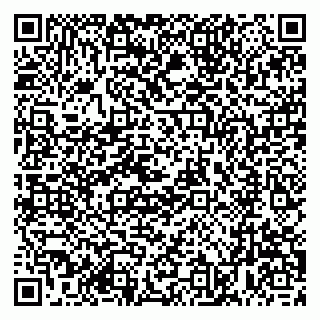 vCard 79001940903