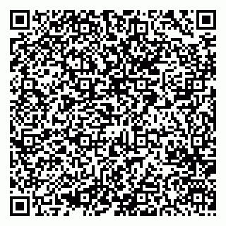 vCard 79001941037