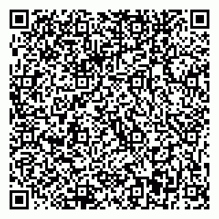 vCard 79001941039