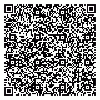 vCard 79001941107