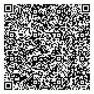 vCard 79001941117