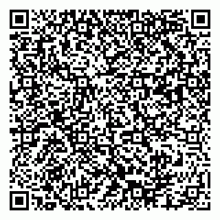 vCard 79003100011
