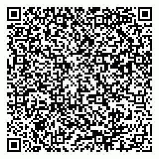 vCard 79003100015