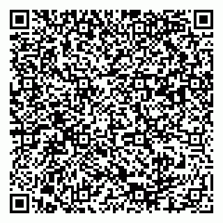 vCard 79003100020