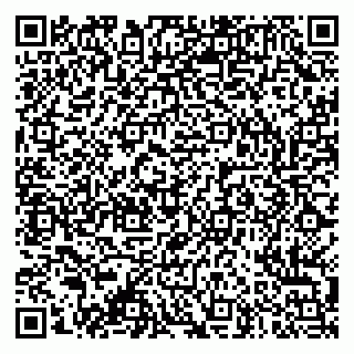vCard 79003100029