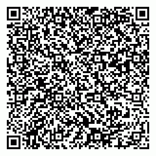 vCard 79003100040