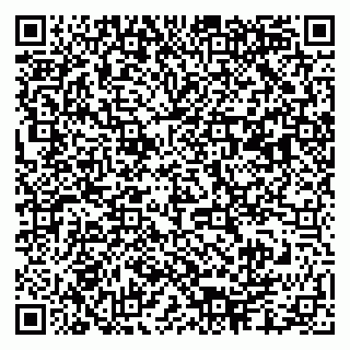 vCard 79003100041