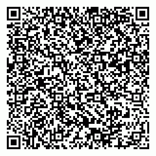 vCard 79003100063