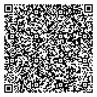 vCard 79003100101