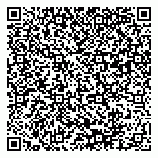 vCard 79003100119