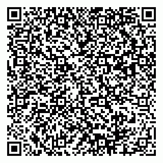 vCard 79003100138