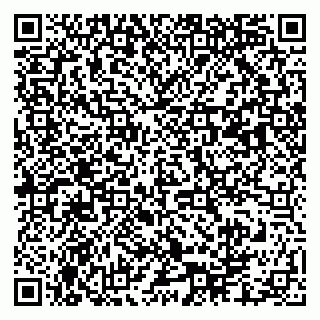 vCard 79003100173