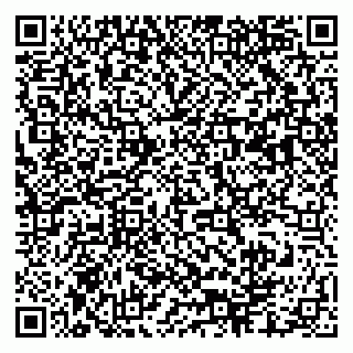 vCard 79003100177