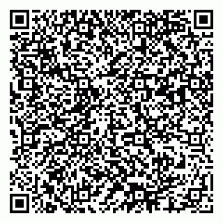 vCard 79003100180