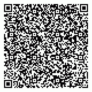 vCard 79003100209
