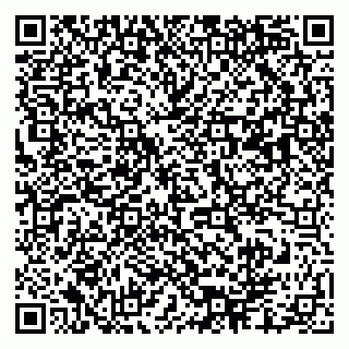vCard 79003100211