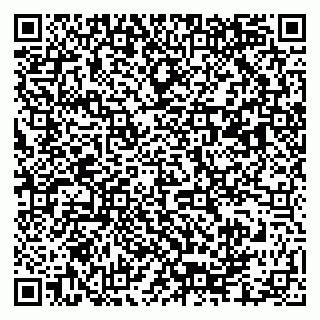 vCard 79003100213