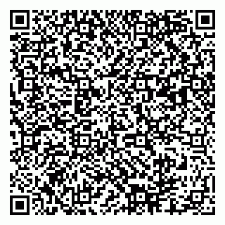 vCard 79003100221