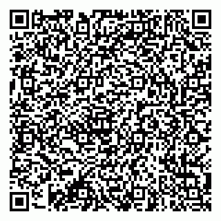 vCard 79003100235