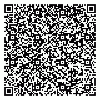 vCard 79003100270
