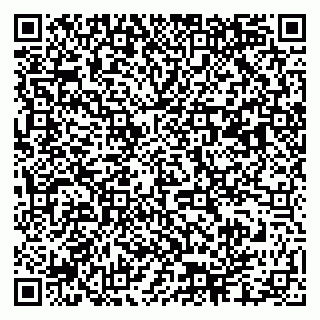vCard 79003100281