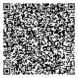 vCard 79003100285