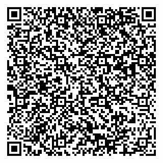 vCard 79003100289