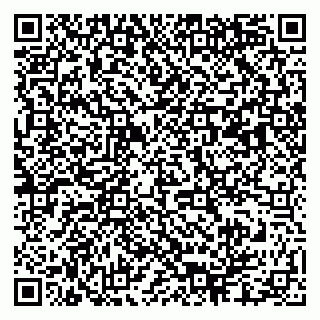vCard 79003100295