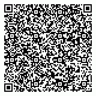vCard 79003100297