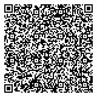 vCard 79003100311