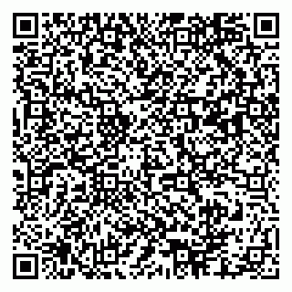 vCard 79003100313