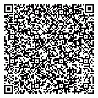 vCard 79003100317