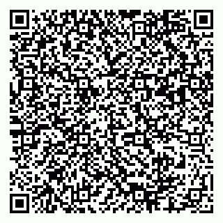 vCard 79003100318