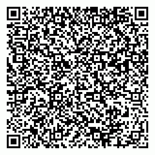vCard 79003100319