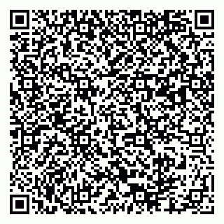 vCard 79003100321