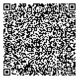 vCard 79003100329