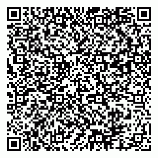 vCard 79003100331