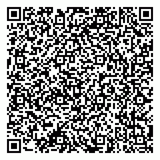 vCard 79003100333